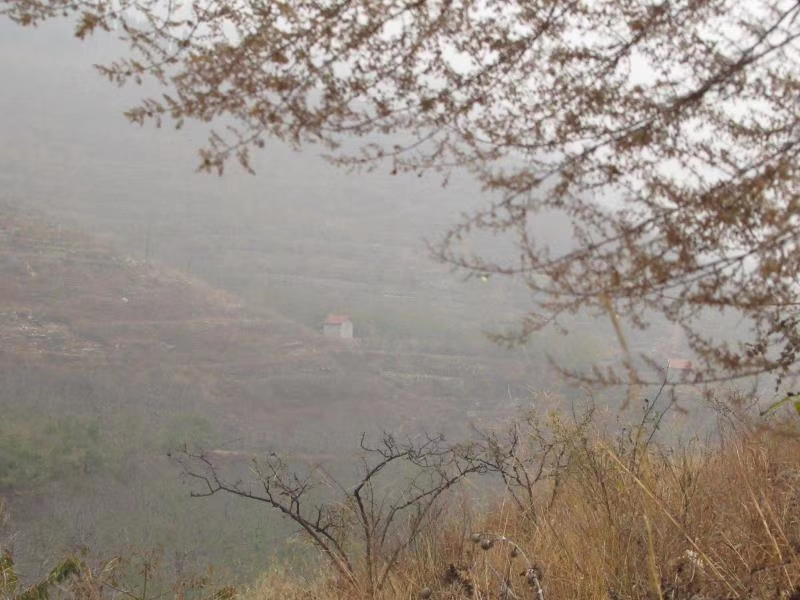 mmexport1578658085292