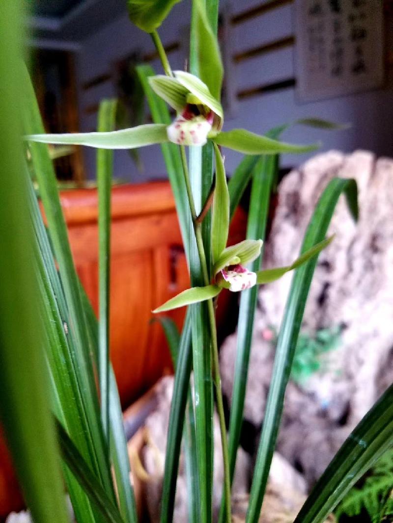 mmexport1578573030142