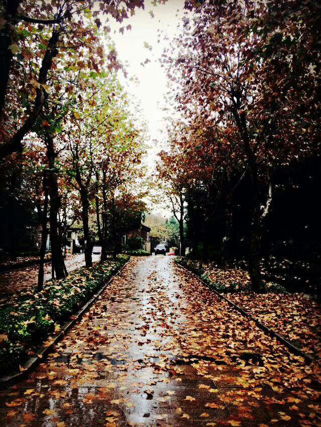 mmexport1578658166969