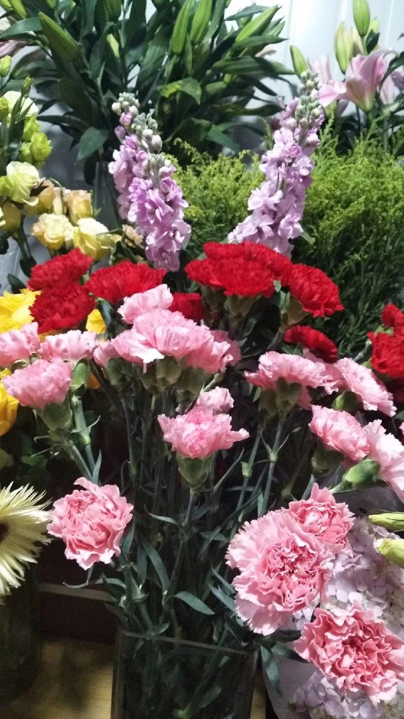 mmexport1578218863916