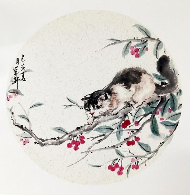 mmexport1578061835533