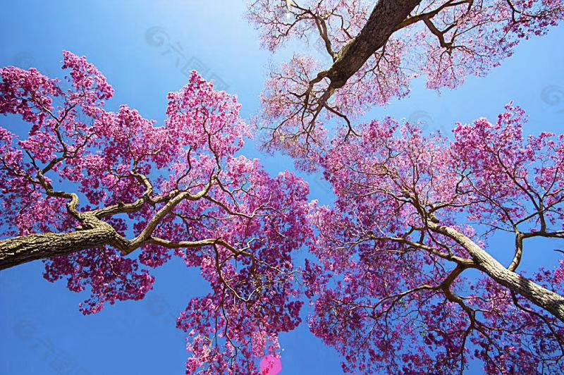 mmexport1578572589237