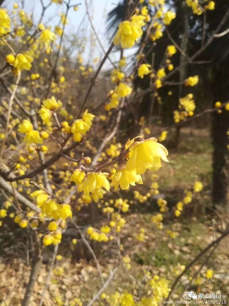 mmexport1578608805443