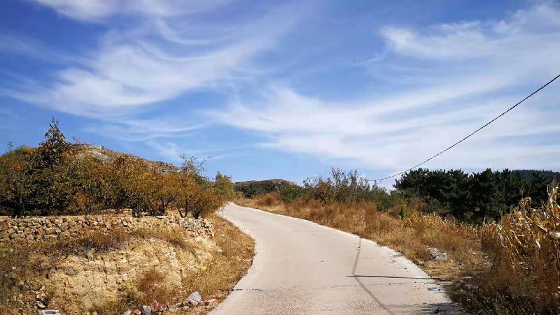 mmexport1578658108970