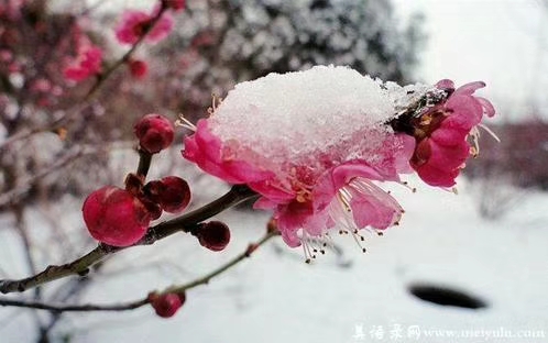 mmexport1578572365503