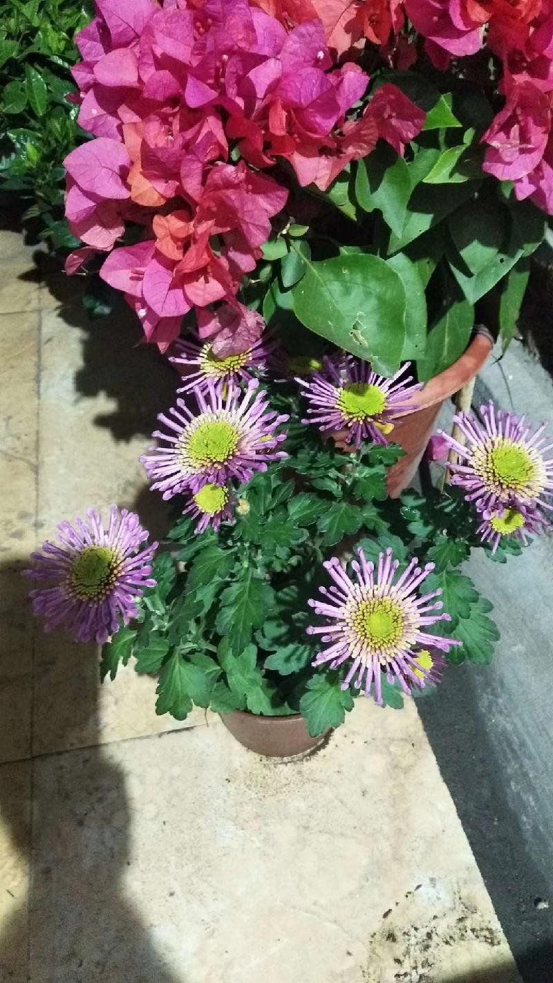 mmexport1578218851803