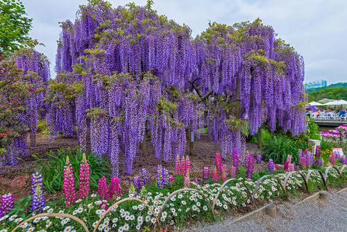 mmexport1578573049819