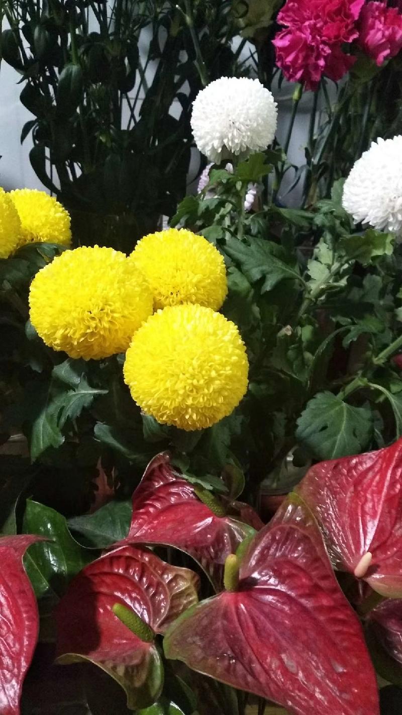 mmexport1578218842181