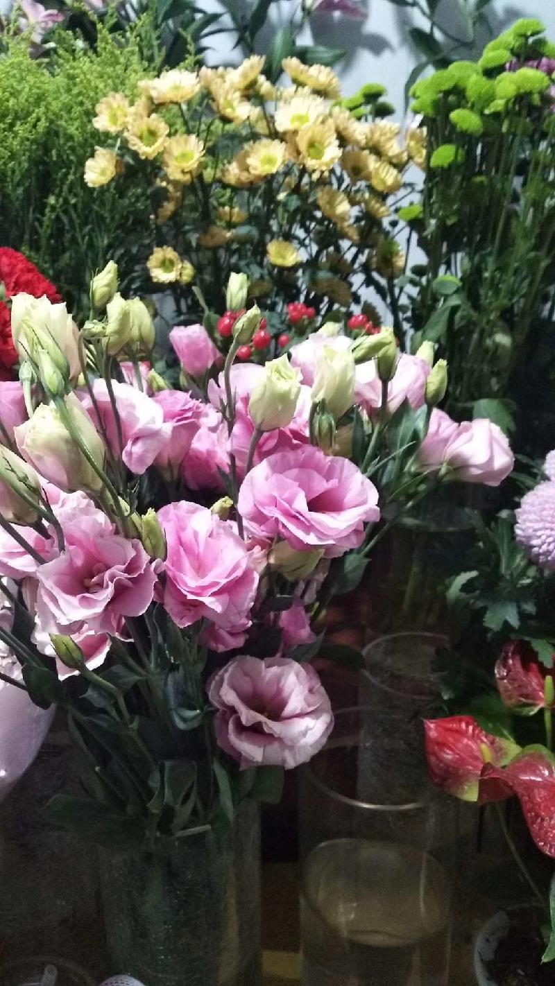 mmexport1578218858389