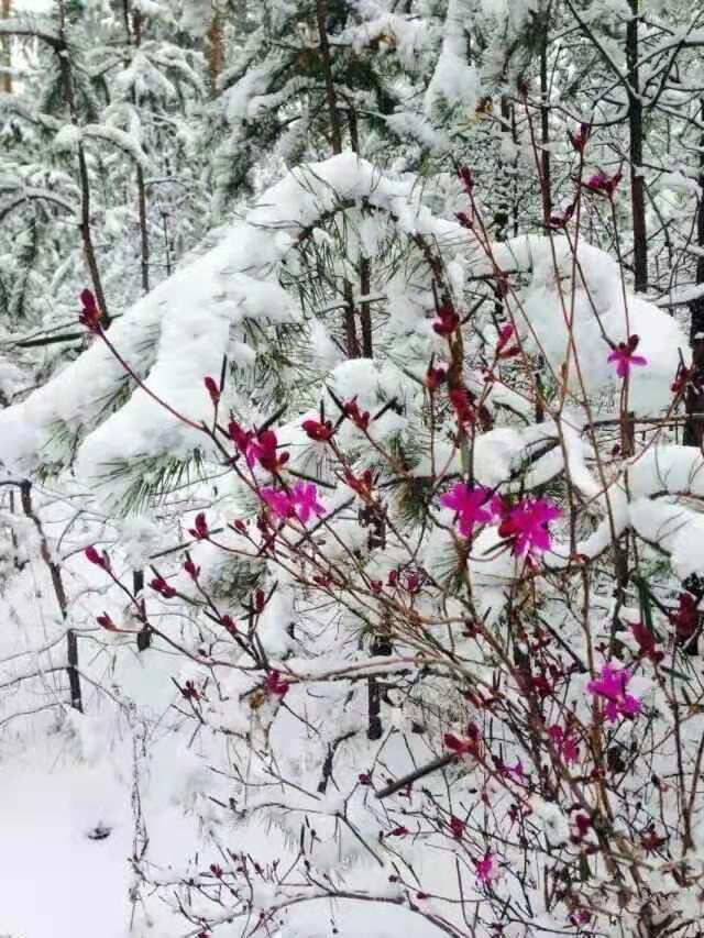 73cf7fa3c7276be725adaece8d1cc709