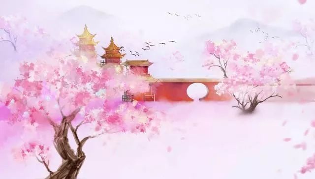 mmexport1576847943188