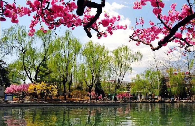 mmexport1575973420899