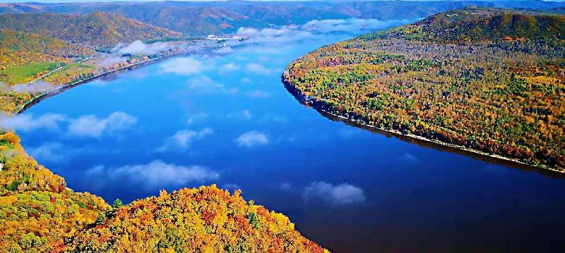 mmexport1578212805111