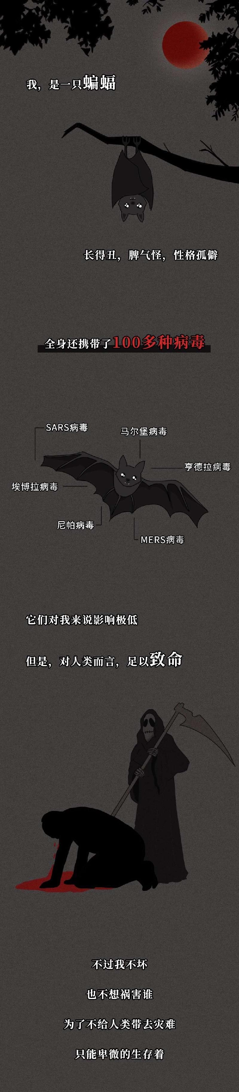 mmexport1580479136119