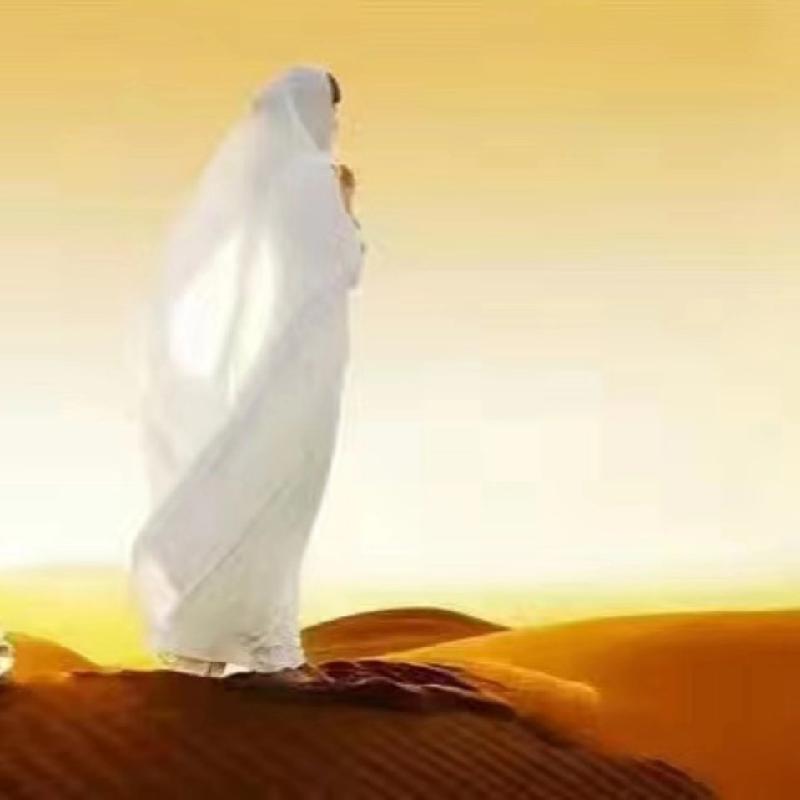 hdImg_ddf931afbea59507c3109657a9a08a111580480808964