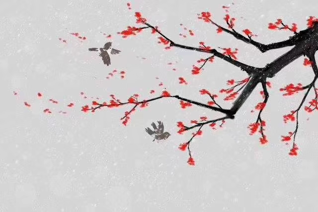 mmexport1580483631971