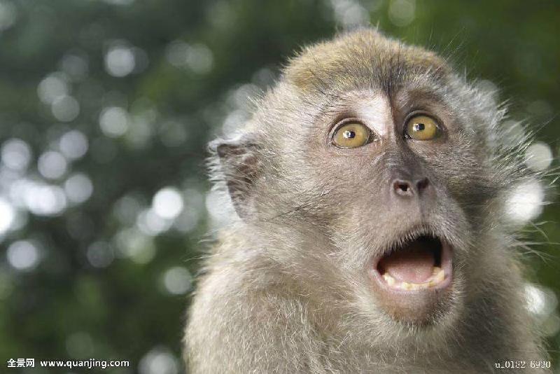 mmexport1580566936684