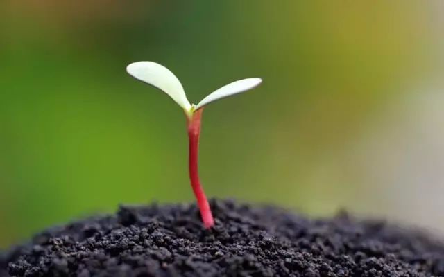 mmexport1580748632560