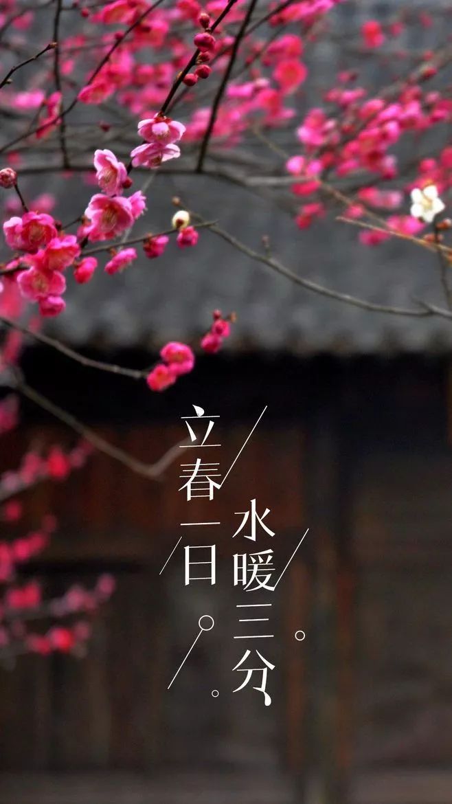 mmexport1580748686419