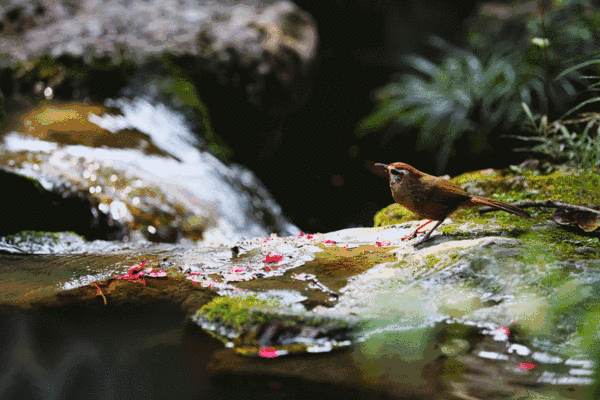 mmexport1580841029773