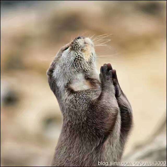 mmexport1580884323694