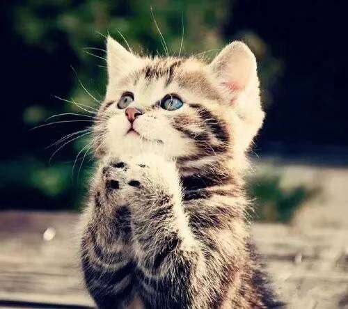 mmexport1580884326738