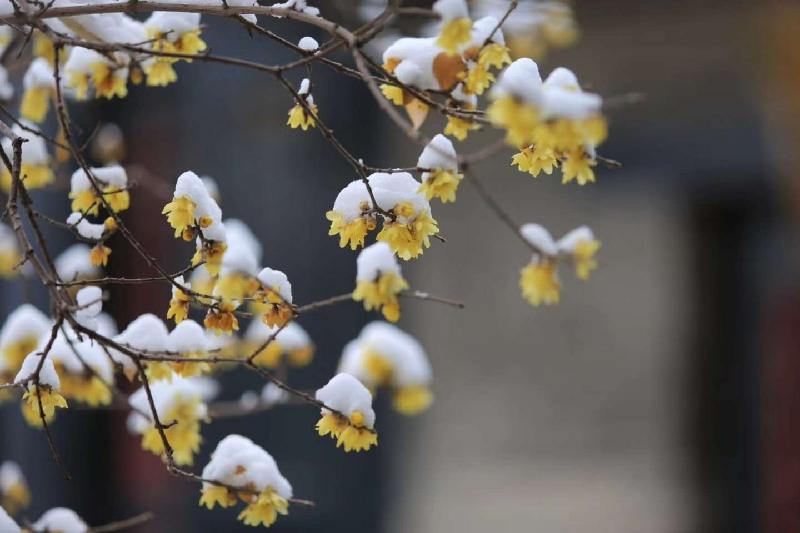 mmexport1580950396686