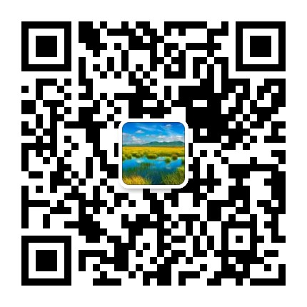 mmqrcode1579750928729